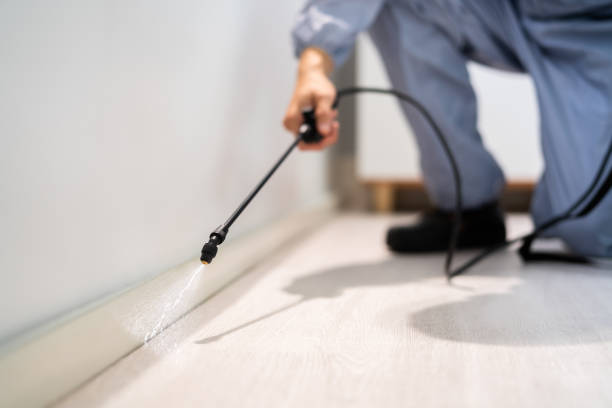 Licensed Pest Control service in Hardin, MT - Show Me Pest Control